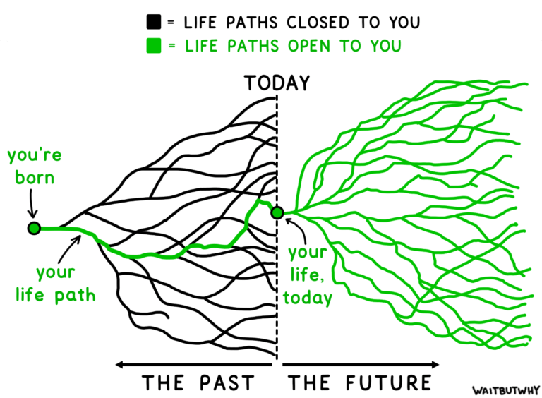 Life Paths by Waitbutwhy